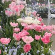 ヒメ日記 2025/04/22 15:59 投稿 及川 鶯谷デッドボール