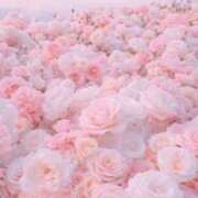 ヒメ日記 2025/04/26 11:44 投稿 及川 鶯谷デッドボール