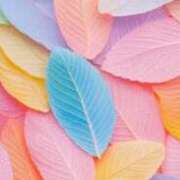 ヒメ日記 2025/05/08 11:19 投稿 及川 鶯谷デッドボール