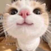 ヒメ日記 2025/05/29 18:59 投稿 及川 鶯谷デッドボール