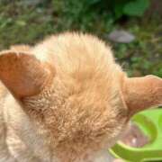 ヒメ日記 2025/05/29 19:29 投稿 及川 鶯谷デッドボール