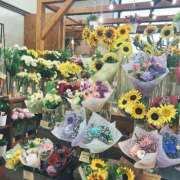 ヒメ日記 2025/06/26 13:23 投稿 及川 鶯谷デッドボール