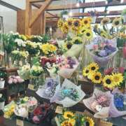 ヒメ日記 2025/06/26 19:49 投稿 及川 鶯谷デッドボール