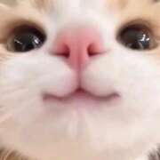 ヒメ日記 2025/09/13 19:49 投稿 及川 鶯谷デッドボール