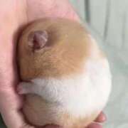 ヒメ日記 2025/09/15 16:29 投稿 及川 鶯谷デッドボール