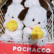 及川 次のご予約 鶯谷デッドボール