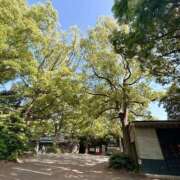 ヒメ日記 2026/05/25 16:19 投稿 及川 鶯谷デッドボール