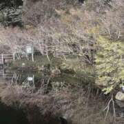 ヒメ日記 2025/04/10 19:41 投稿 香田-こうだ- ただ離婚してないだけ