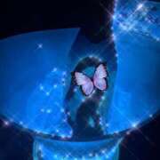 ヒメ日記 2026/01/11 11:41 投稿 あん チェリーデイズ新宿店