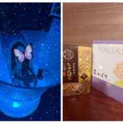 ヒメ日記 2026/01/15 12:43 投稿 あん チェリーデイズ新宿店