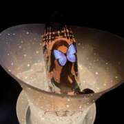 ヒメ日記 2026/01/28 00:14 投稿 あん チェリーデイズ新宿店