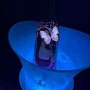 ヒメ日記 2026/03/13 10:50 投稿 あん チェリーデイズ新宿店