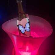 ヒメ日記 2026/04/09 23:45 投稿 あん チェリーデイズ新宿店