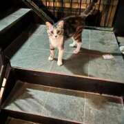 ヒメ日記 2025/12/31 09:00 投稿 ハルカ ドMな奥さん 日本橋店