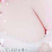 ヒメ日記 2025/03/23 08:53 投稿 ねね プレイボーイ　アゲハ