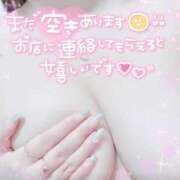 ヒメ日記 2025/08/16 17:45 投稿 ねね プレイボーイ　アゲハ