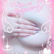 ヒメ日記 2025/09/18 12:04 投稿 ねね プレイボーイ　アゲハ