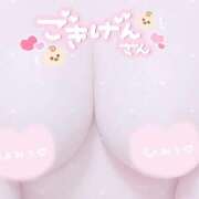 ねね あれれ？ プレイボーイ　アゲハ