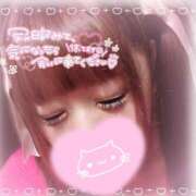 ヒメ日記 2026/02/17 12:01 投稿 ねね プレイボーイ　アゲハ