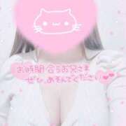 ねね 2月も♡ プレイボーイ　アゲハ