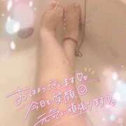 ヒメ日記 2026/03/19 11:45 投稿 ねね プレイボーイ　アゲハ