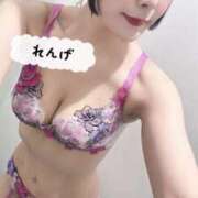 ヒメ日記 2025/02/15 10:26 投稿 れんげ アラカルト