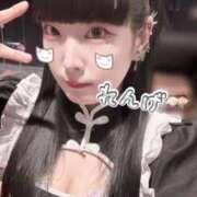 ヒメ日記 2025/03/20 21:58 投稿 れんげ アラカルト