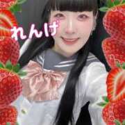 ヒメ日記 2025/03/23 18:13 投稿 れんげ アラカルト