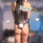 ヒメ日記 2025/04/11 11:41 投稿 れんげ アラカルト