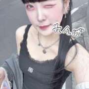 ヒメ日記 2025/04/16 12:07 投稿 れんげ アラカルト