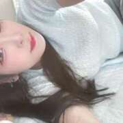 ヒメ日記 2025/07/16 15:01 投稿 れんげ アラカルト