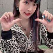 ヒメ日記 2025/11/29 18:51 投稿 れんげ アラカルト