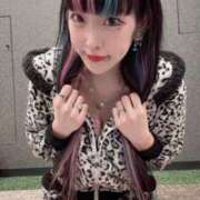 ヒメ日記 2025/11/30 19:13 投稿 れんげ アラカルト