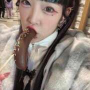 ヒメ日記 2025/12/05 16:01 投稿 れんげ アラカルト