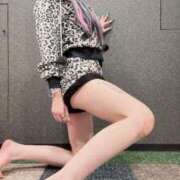 ヒメ日記 2025/12/06 08:01 投稿 れんげ アラカルト