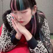 ヒメ日記 2025/12/11 20:49 投稿 れんげ アラカルト