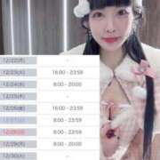 ヒメ日記 2025/12/21 20:28 投稿 れんげ アラカルト