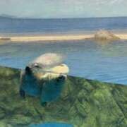 ヒメ日記 2026/01/04 10:13 投稿 れんげ アラカルト