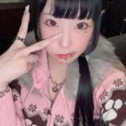 ヒメ日記 2026/01/08 17:13 投稿 れんげ アラカルト