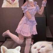 ヒメ日記 2026/01/19 12:21 投稿 れんげ アラカルト