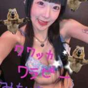 ヒメ日記 2026/01/19 14:59 投稿 れんげ アラカルト