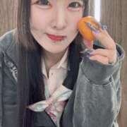 ヒメ日記 2026/03/31 16:23 投稿 れんげ アラカルト