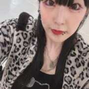 ヒメ日記 2026/04/13 09:40 投稿 れんげ アラカルト