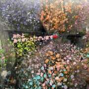 ヒメ日記 2025/03/03 09:59 投稿 りょう 千葉人妻花壇