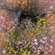 ヒメ日記 2025/03/11 21:04 投稿 りょう 千葉人妻花壇