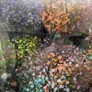 ヒメ日記 2025/03/16 08:35 投稿 りょう 千葉人妻花壇