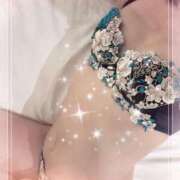 ヒメ日記 2025/05/27 18:50 投稿 りょう 千葉人妻花壇