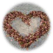 ヒメ日記 2025/10/14 12:12 投稿 りょう 千葉人妻花壇