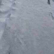 ヒメ日記 2026/02/08 09:32 投稿 りょう 千葉人妻花壇