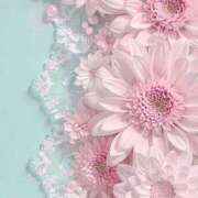 ヒメ日記 2026/02/25 09:40 投稿 りょう 千葉人妻花壇